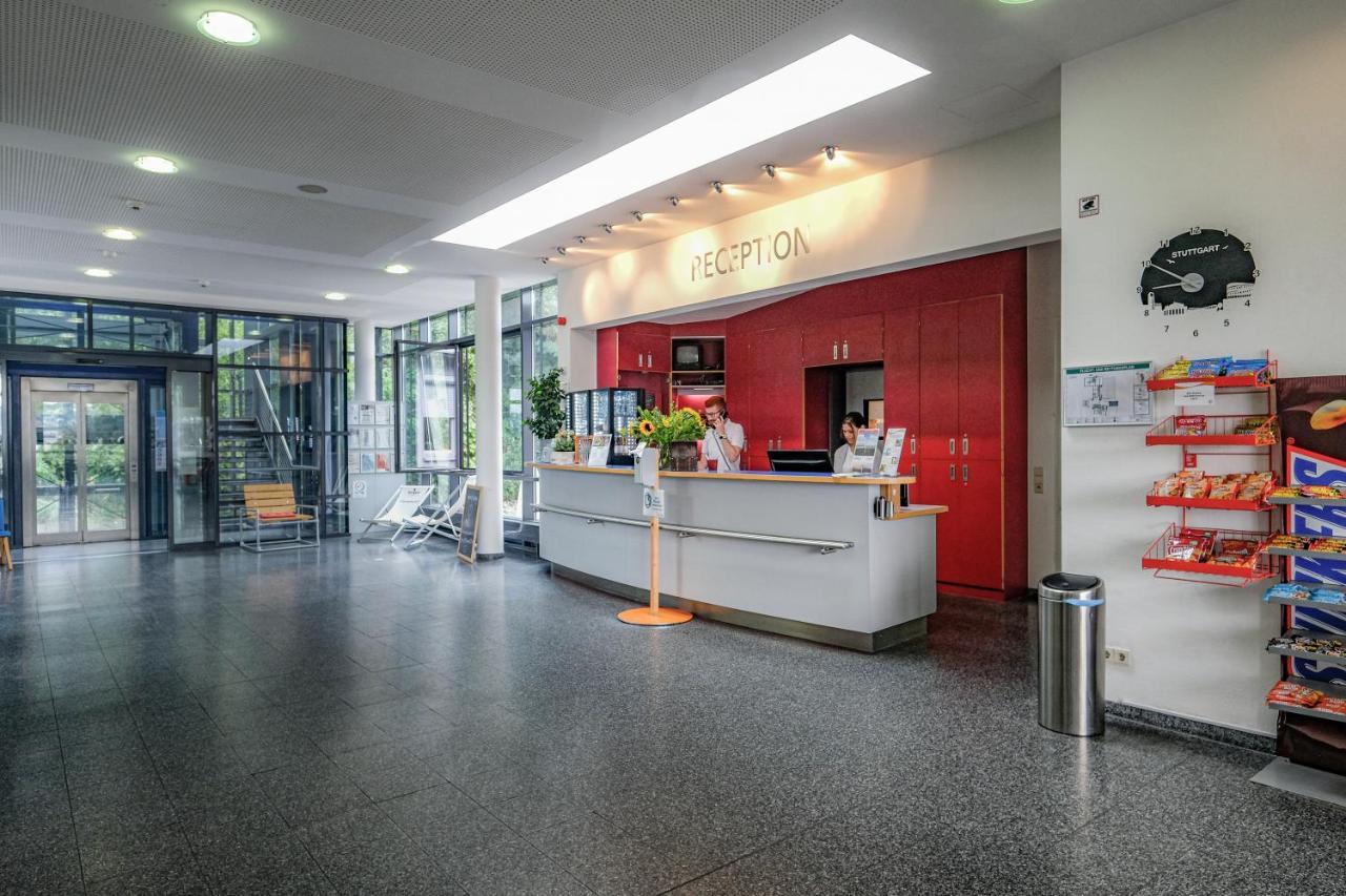 International Auberge de jeunesse *